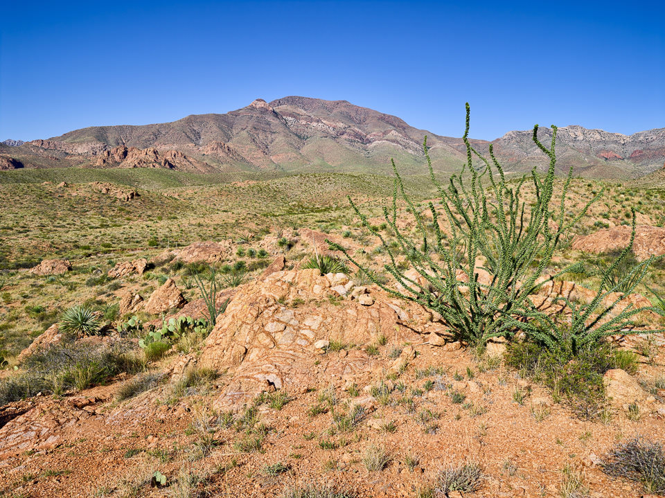 Franklin Mountains State Park