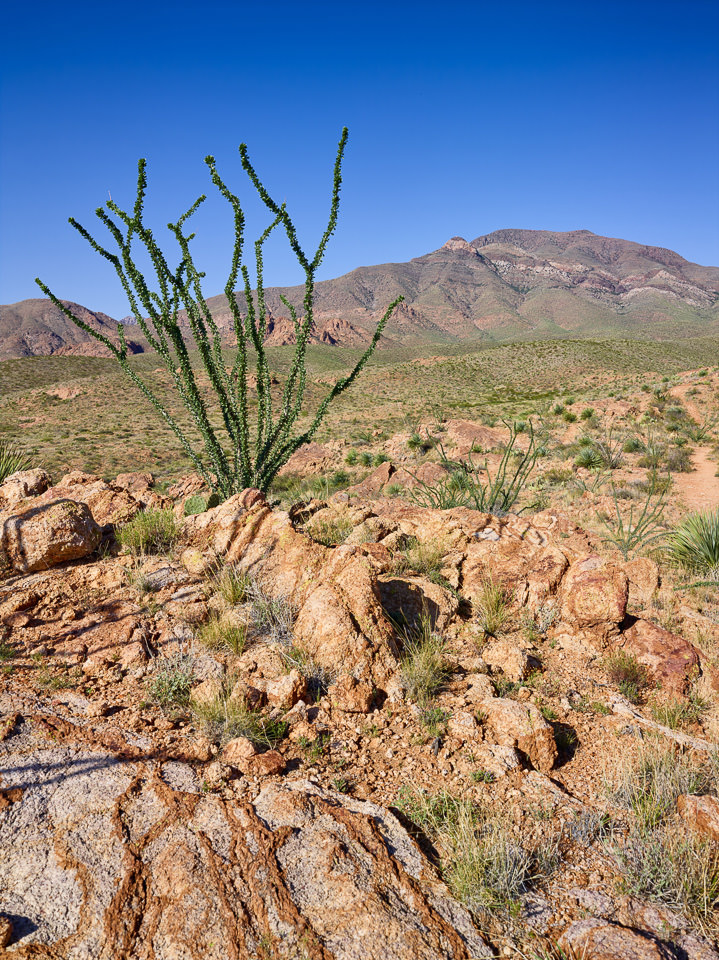 Franklin Mountains State Park