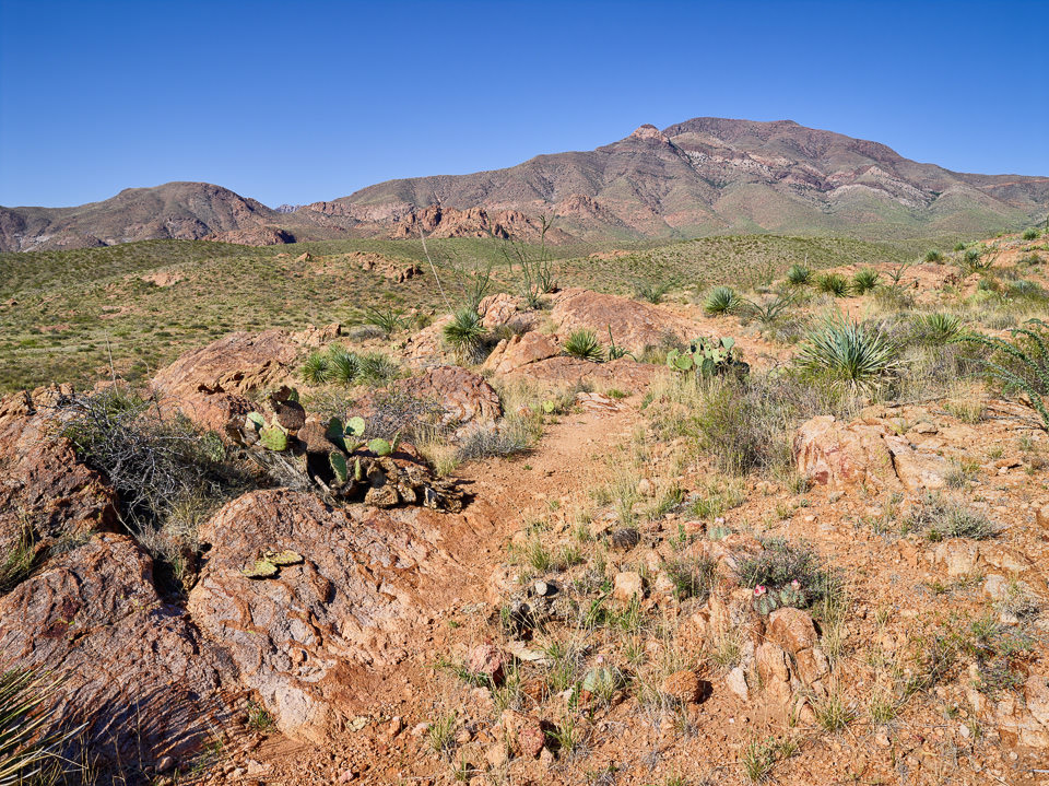 Franklin Mountains State Park