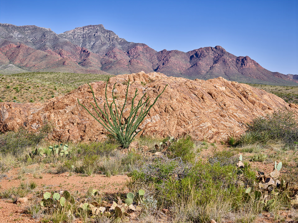 Desert Landscape in El Paso Texas