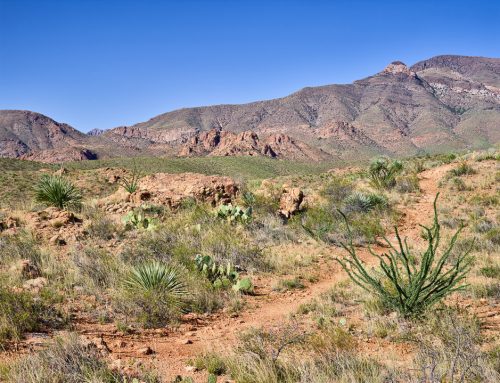 New El Paso Photos: Franklin Mountains State Park