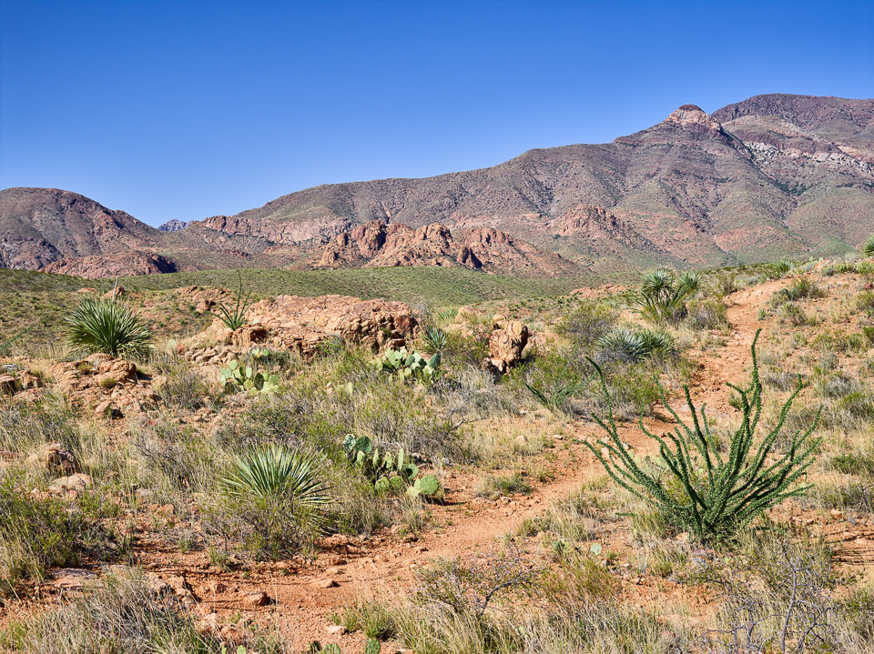 El Paso Desert Landscape