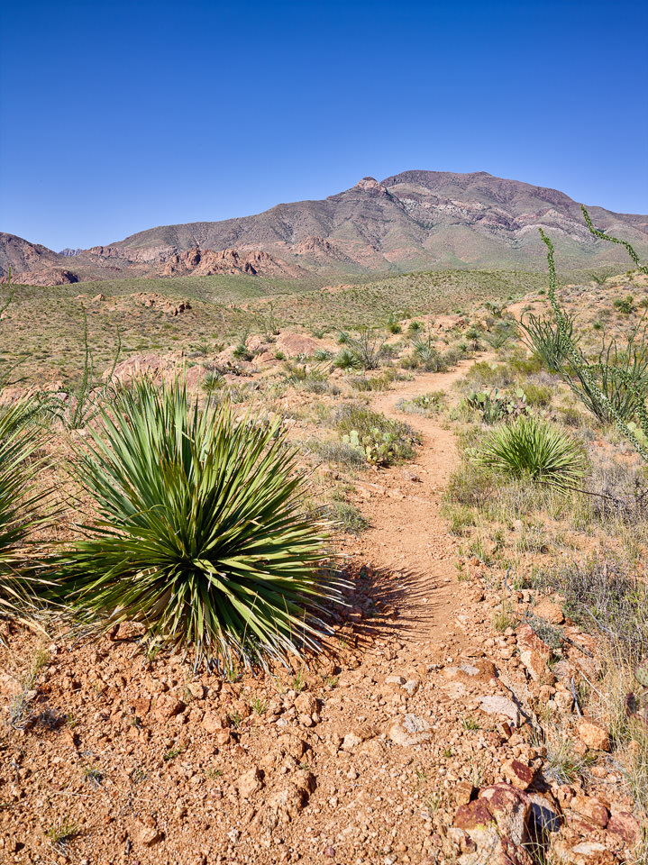 Desert Landscape Photographer