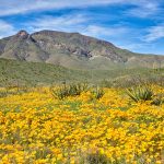 El Paso Stock Photos