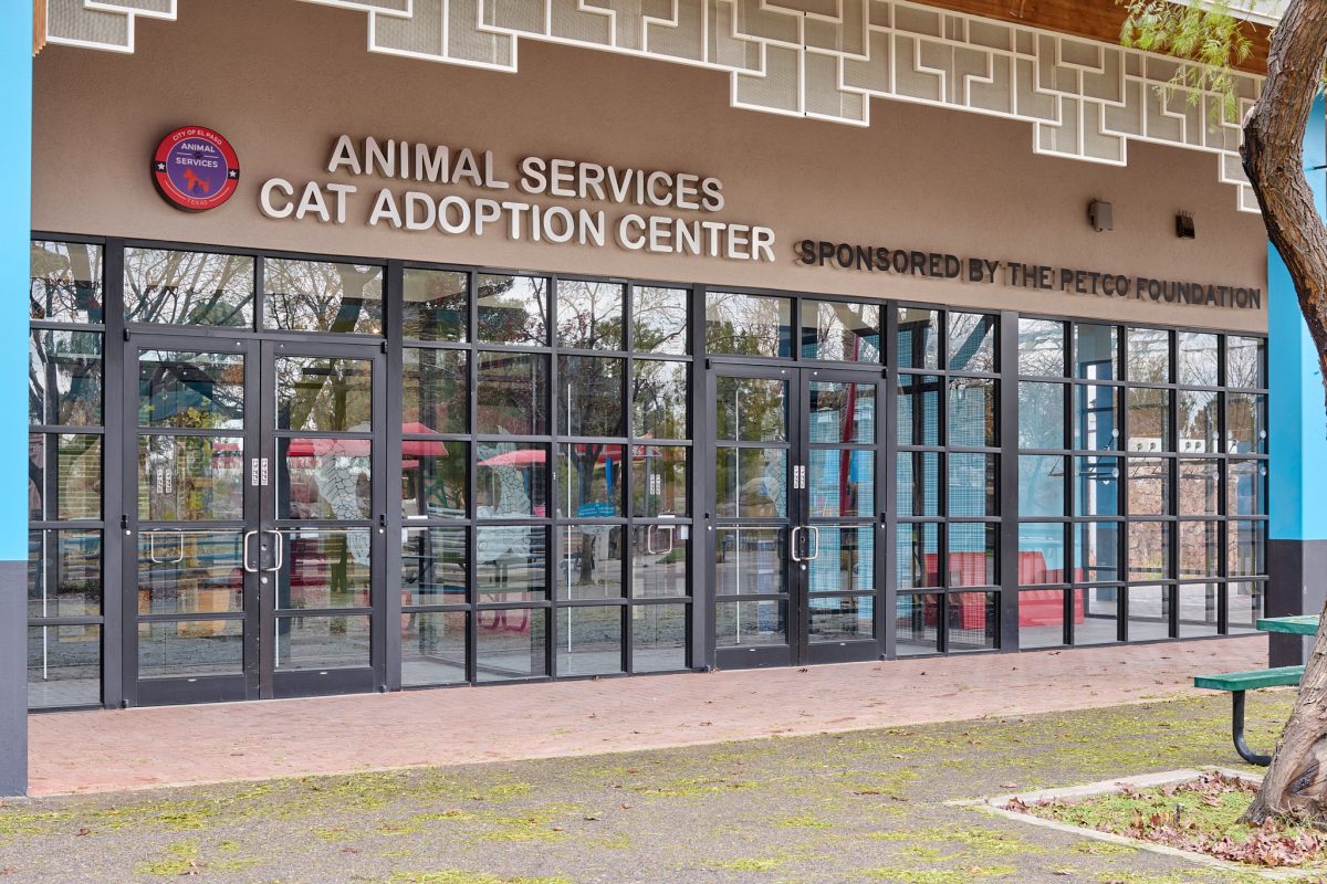 Kitten Rescue Center The Cat Adoption Facility at The El Paso Zoo - El Paso Professional ...