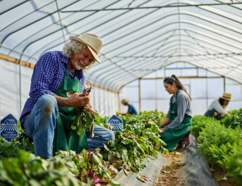 Advertising Photography for GECU