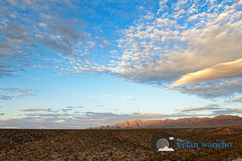 cimarron_11 El Paso Professional Photographer