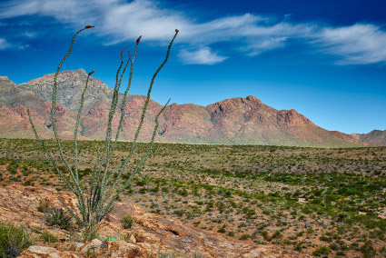 el-paso-desert-photographer - El Paso Professional Photographer