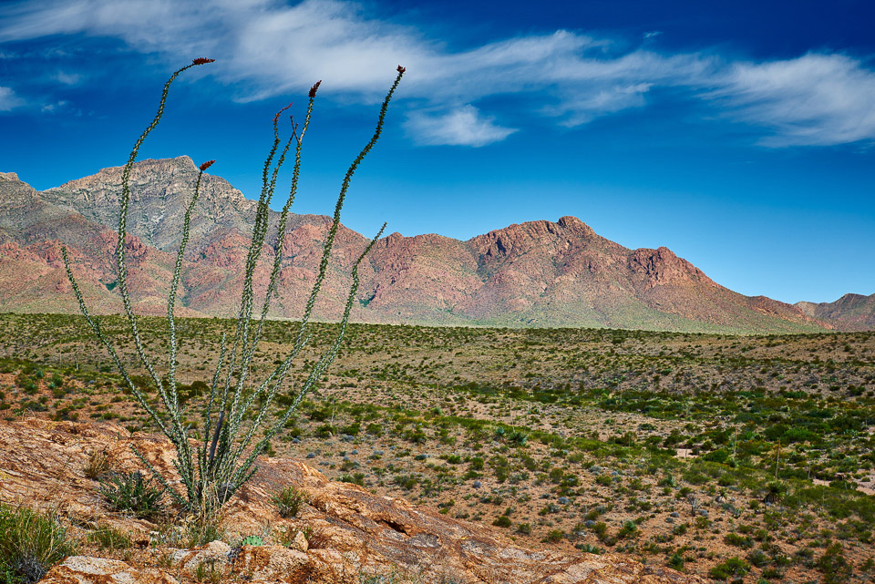 Franklin Mountains State Park Star