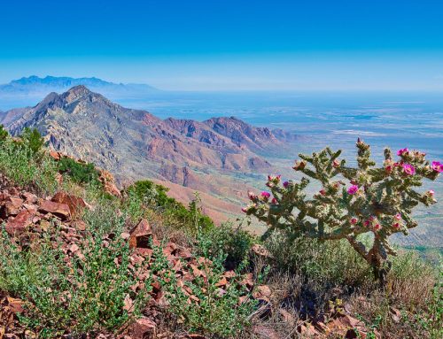 Landscape Photography of Franklin Mountains State Park