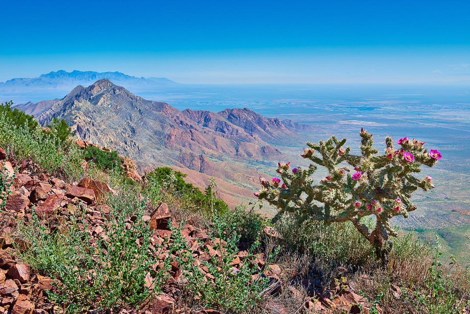 El Paso Landscape