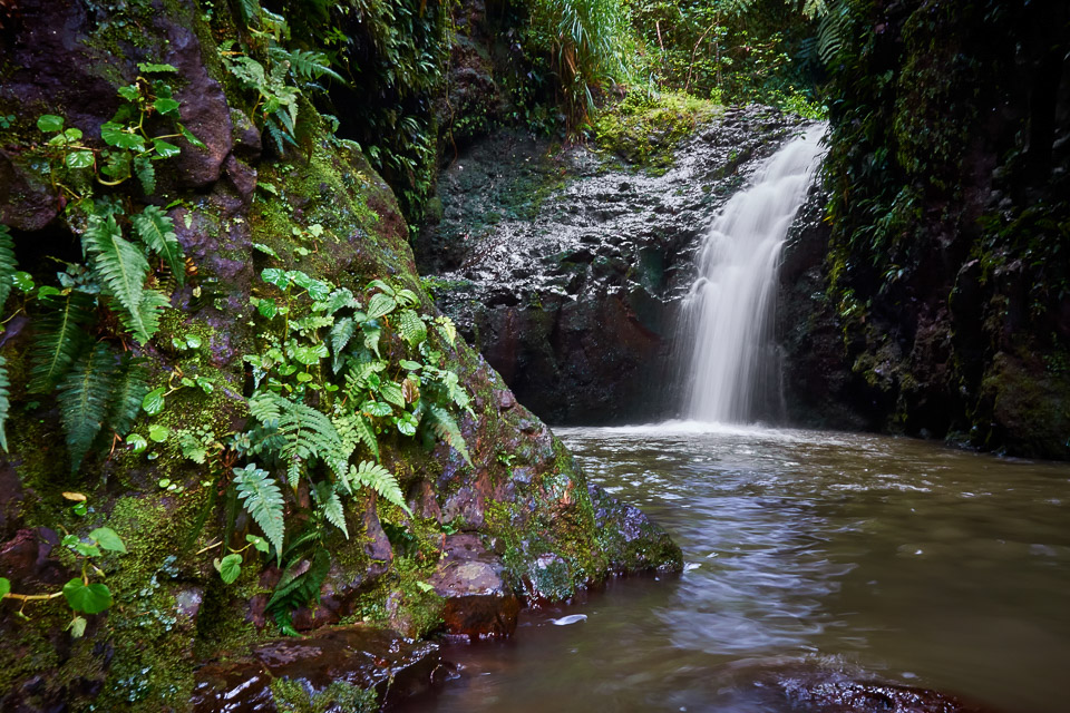 hawaii-2014-02