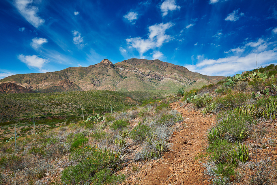 Professional desert landscape photographer