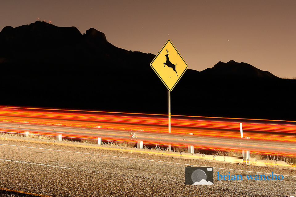 Deer Crossing sign in El Paso