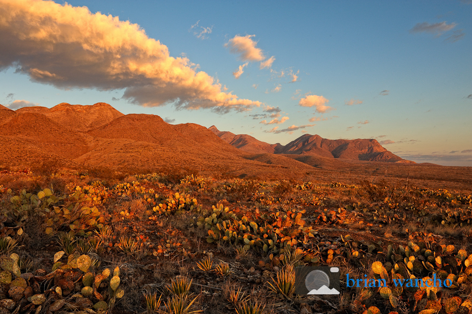 Photo of the Week - Castner Range at Sunrise